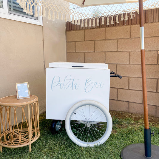 PALETA CART