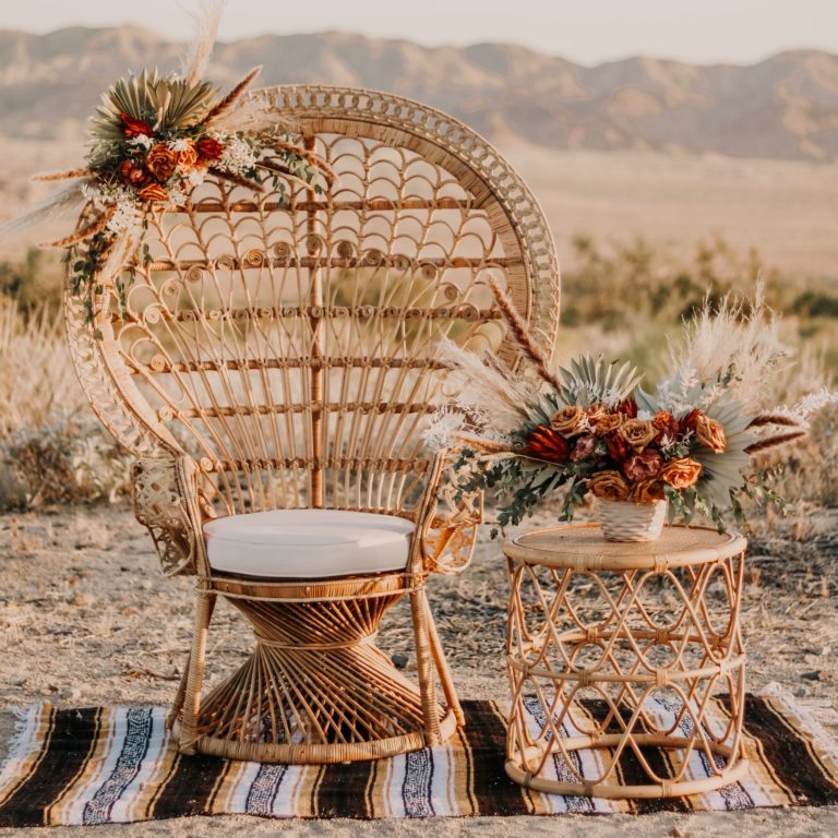 VICTORIA PEACOCK CHAIR – Home Love Events